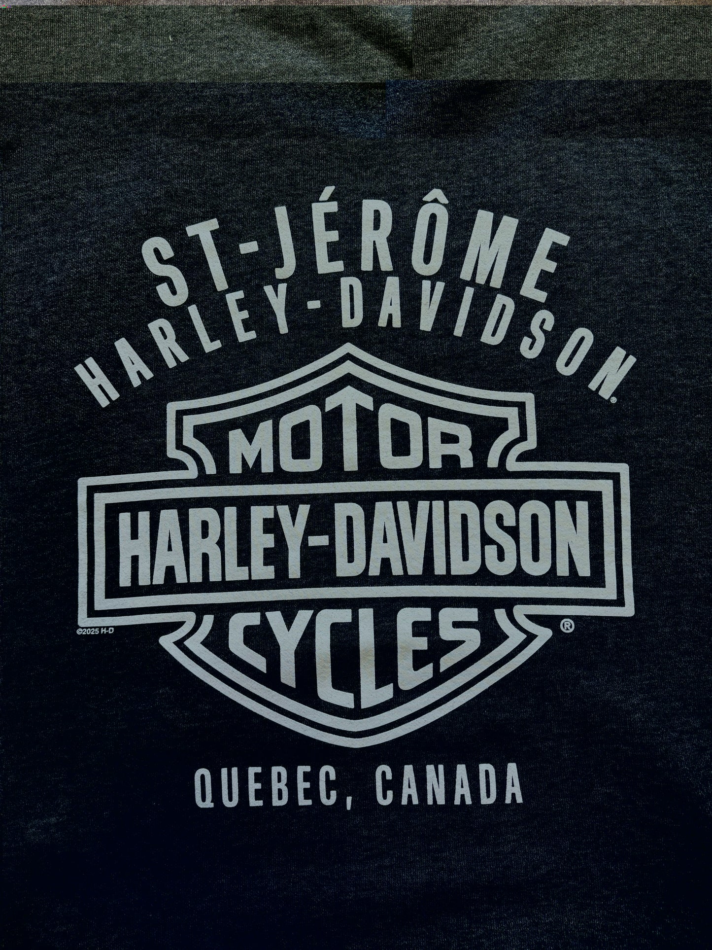 HOODIE BANDANA POUR HOMME HDMC - 3002808