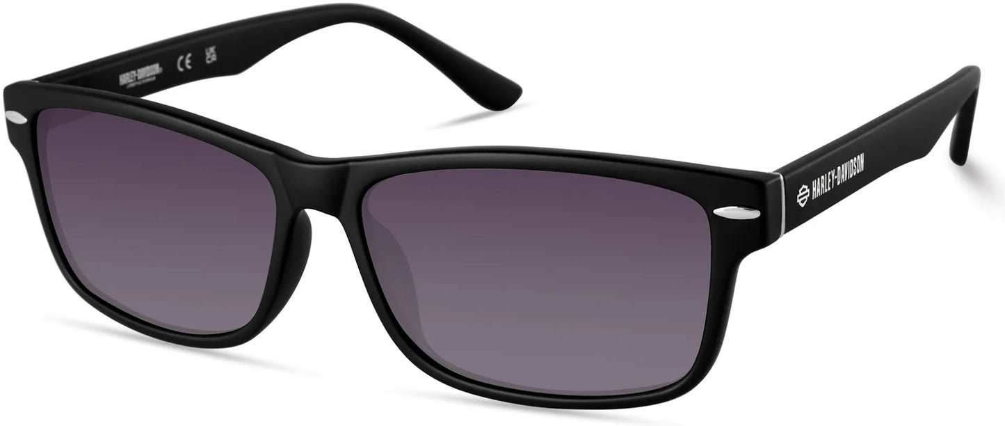 LUNETTE MATTE BLACK GRADIENT SMOKE