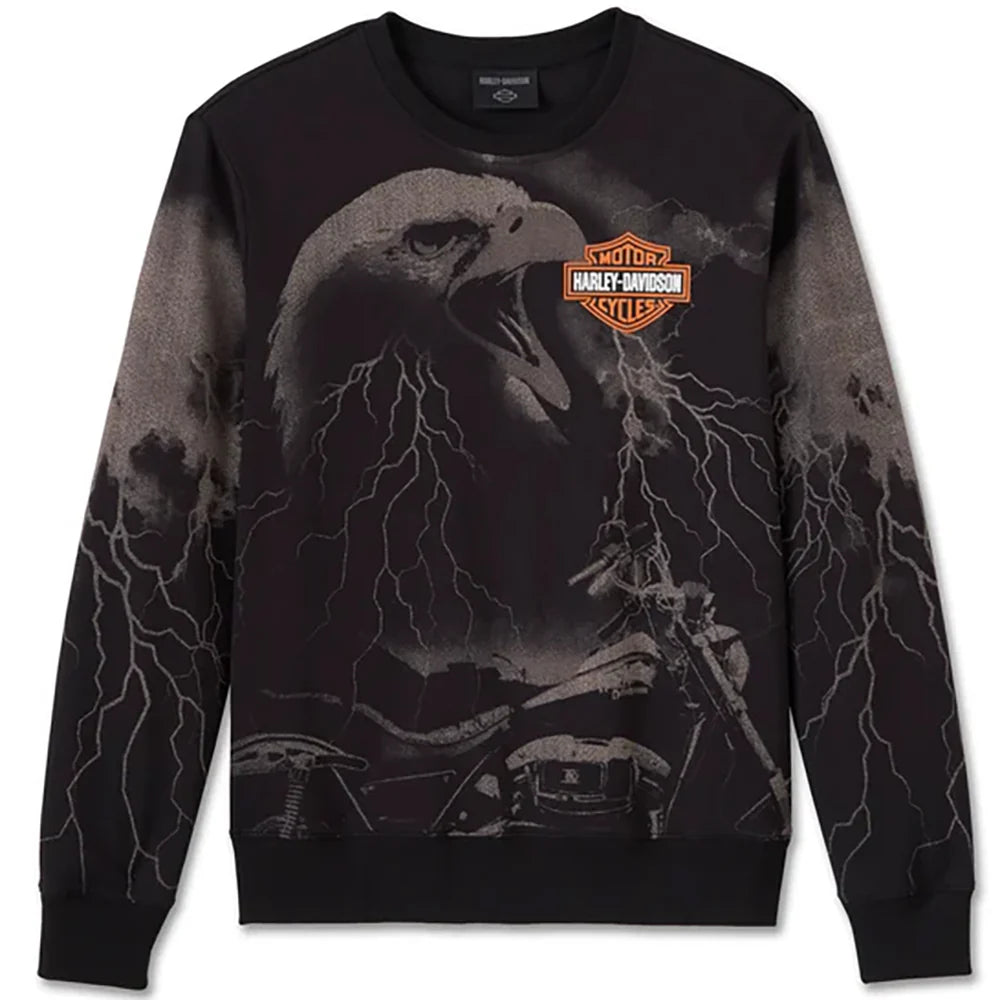 Chandail ras du cou à manches longues Eagle Rider pour homme Harley-Davidson - 96011-25VM