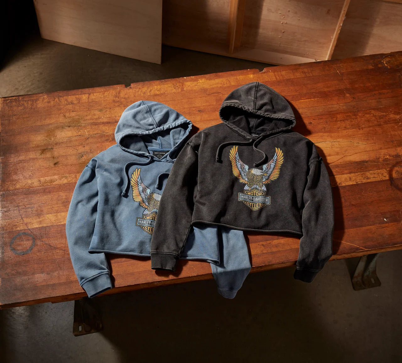 Sweat à capuche court pour femme, motif aigle néon - 96516-25VW