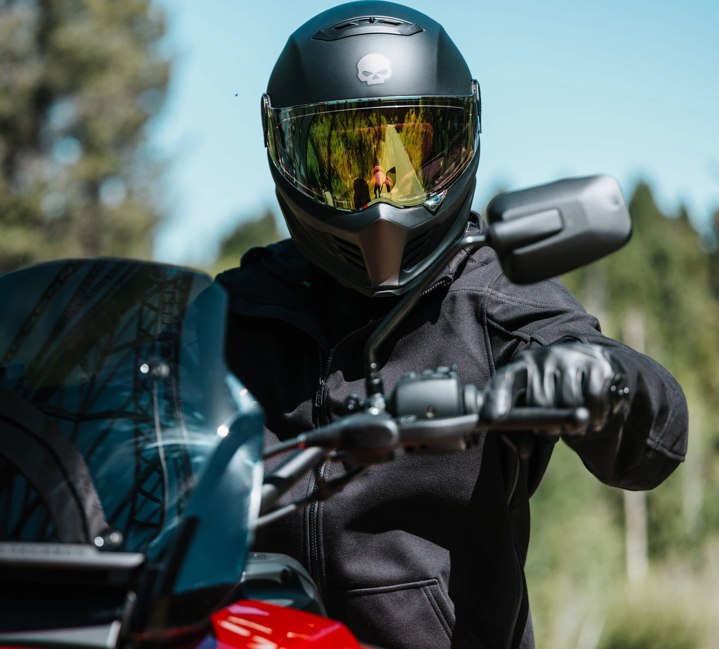 Casque intégral HD Division X15 avec motif Willie G (98105-25VX)