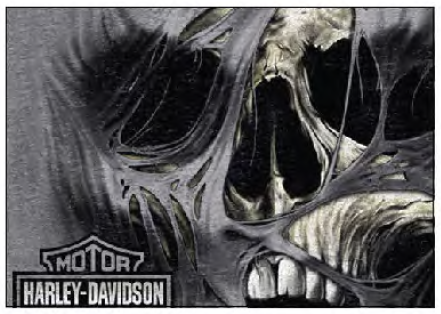 T-Shirt pour homme St-Jérôme Harley-Davidson (3001959)