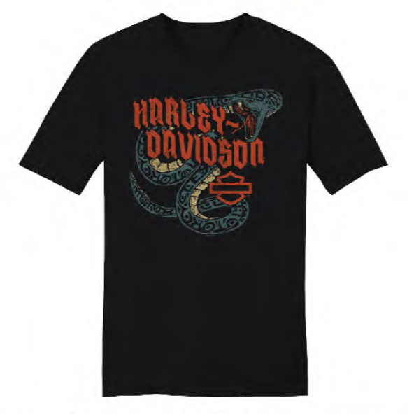 T-Shirt pour homme St-Jérôme Harley-Davidson (3002135)