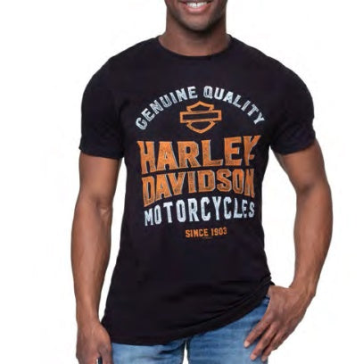 T-Shirt pour homme (40291387)