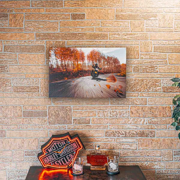 Toile décorative Harley-Davidson (HDX-99293)