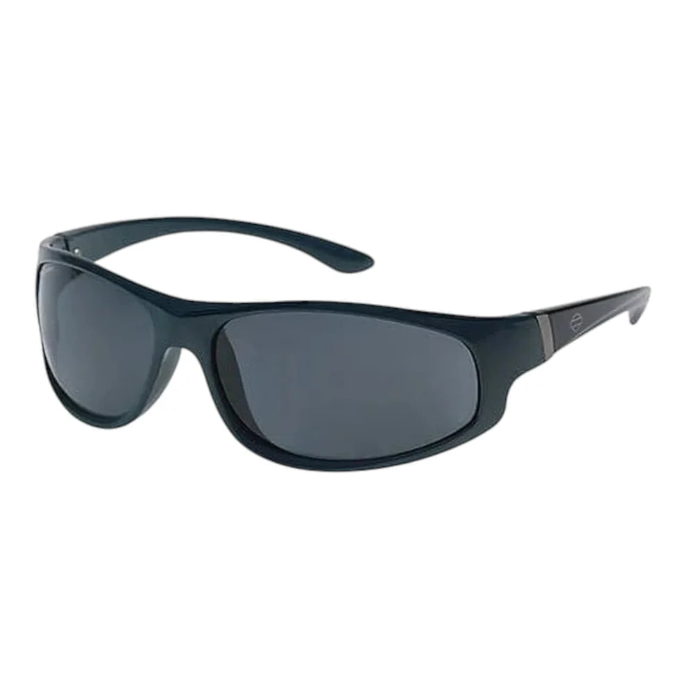 Lunettes de soleil Harley-Davidson® pour homme - HD0006V