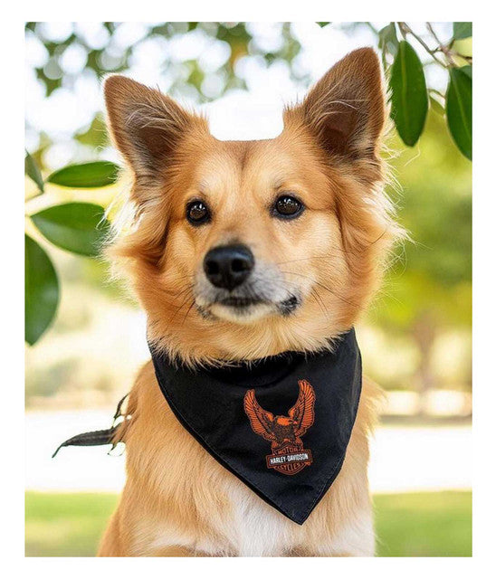 Bandana pour animaux de compagnie H-D® B&Sd Eagle - Taille S/M - HDX-90217
