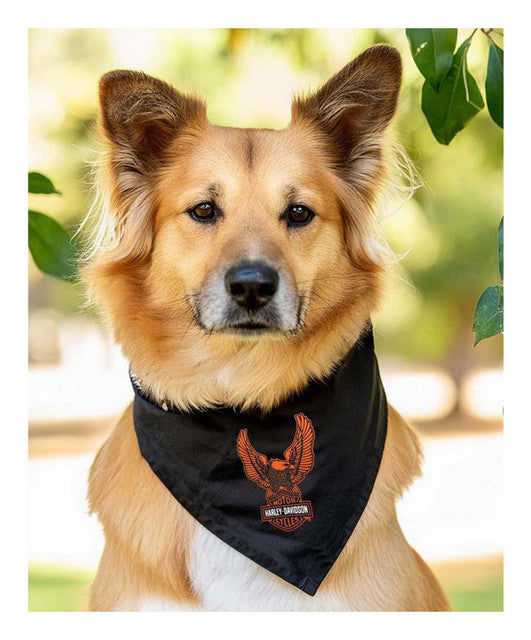 Bandana pour animal de compagnie H-D® B&S Eagle - HDX-90218