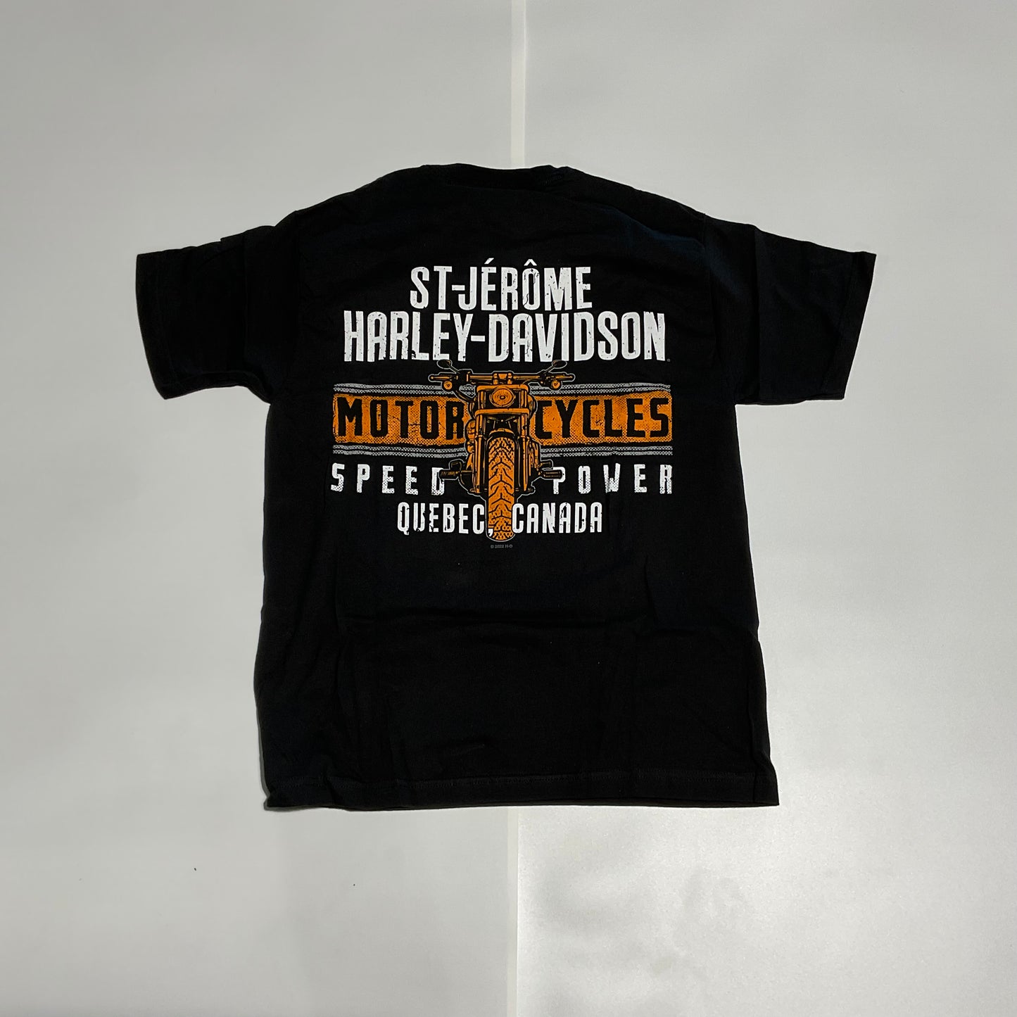 T-Shirt pour homme (R0045804)