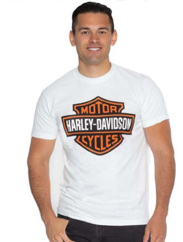 T-shirt pour homme (40290190)