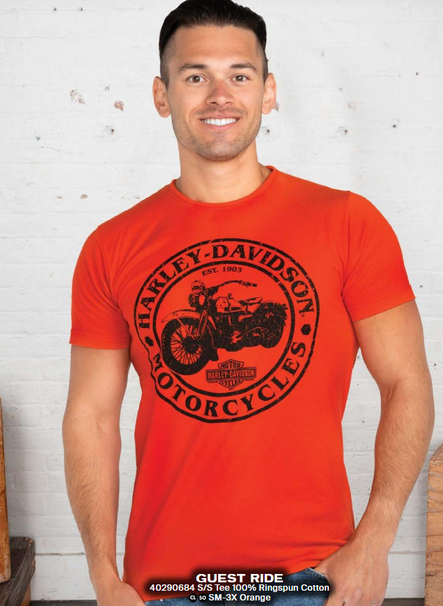 T-Shirt pour homme (40290684)