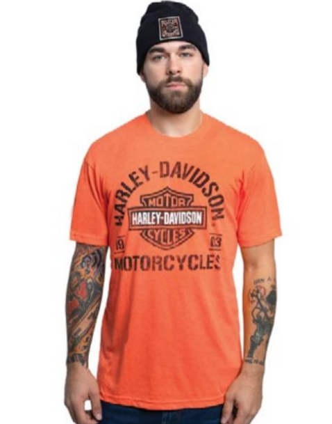 T-Shirt pour homme (40290844)