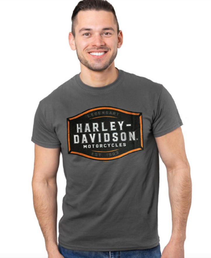 T-shirt pour homme (40290949)