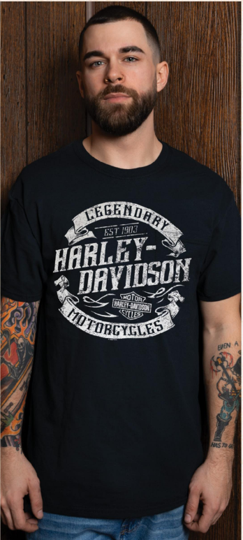 T-Shirt pour homme (40290981)