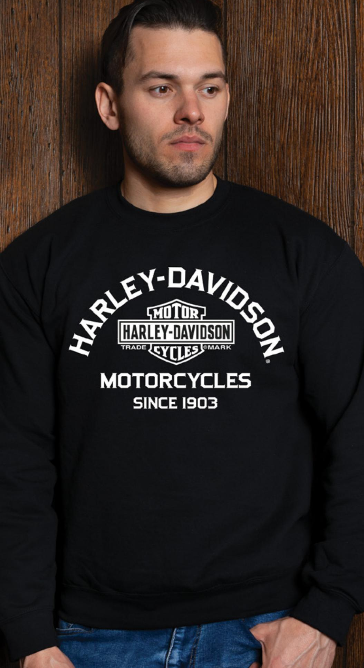 Chandail pour homme (40290994)