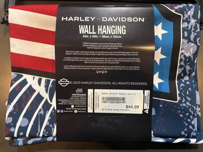 AFFICHE MURALE AILE #1 HARLEY-DAVIDSON - 1HDM/T1200/0004/RET