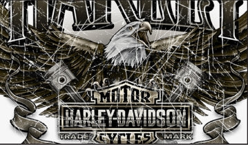 T-SHIRT HOMME SOARING FOREVER - 3002718