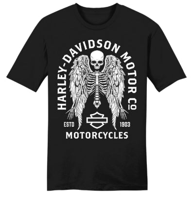 T-SHIRT HOMME WINGED ARCH T BLACK - 3002771