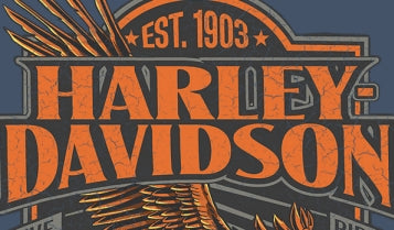 T-SHIRT HOMME GRIT EAGLE DENIM - 3002791