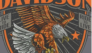 T-SHIRT HOMME GRIT EAGLE MEDIUM GRIS - 3002807