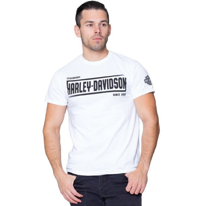 T-Shirt pour homme Faded (40291247)