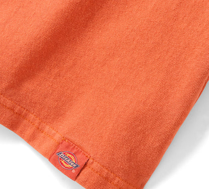 T-shirt à manches longues Dickies x HD Winged Horseshoe - 96088-26VM