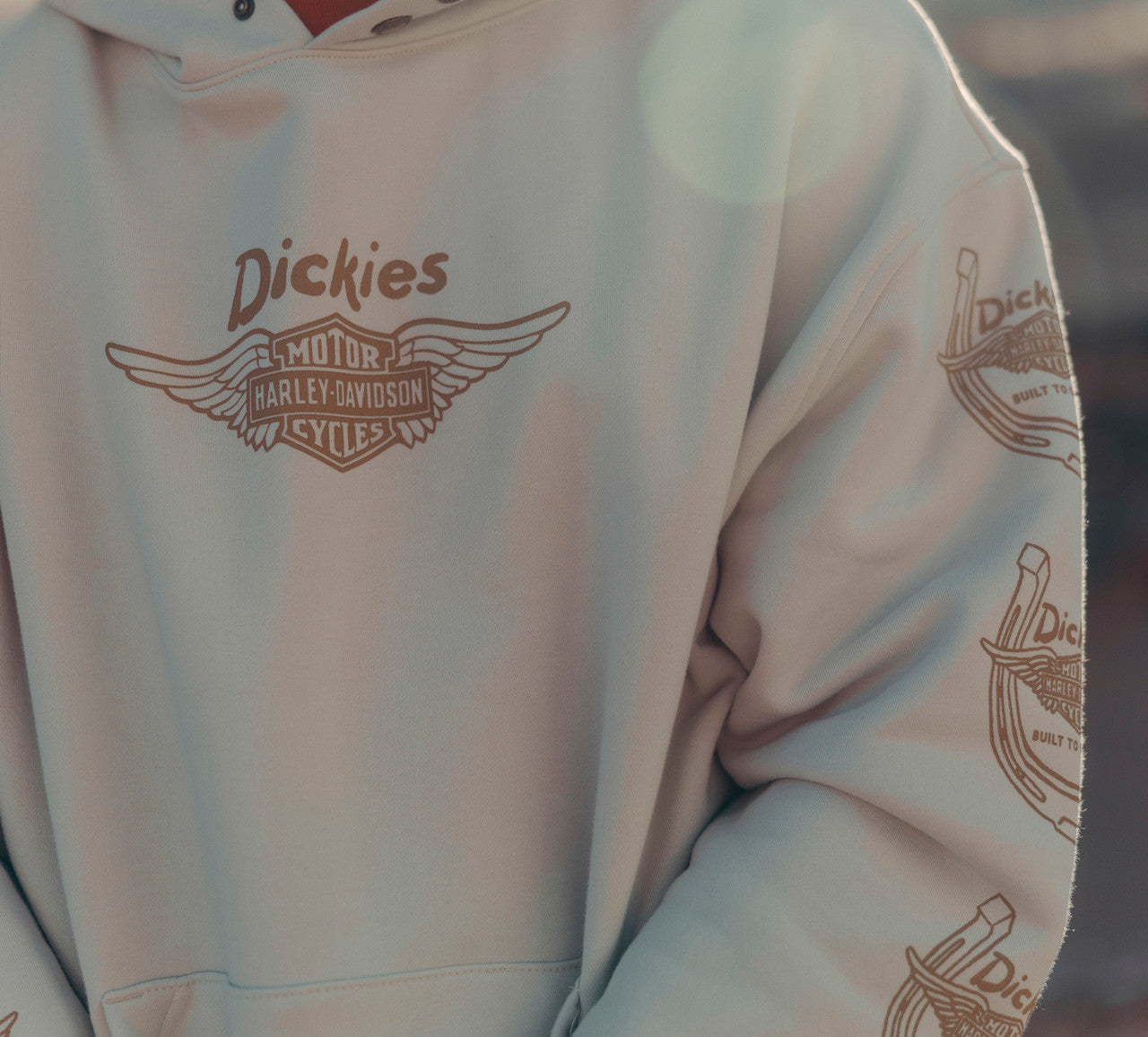Sweat à capuche oversize Dickies x HD Winged Horseshoe - 96091-26VX