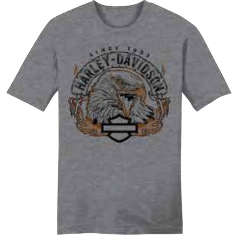 TSHIRT BANNER EAGLE GREY POUR HOMME - 3002352