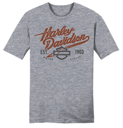 T-Shirt pour homme TRI-BLEND T - 3002575