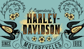 T-SHIRT FEMME SWALLOWS AQUA SKY - 3002737