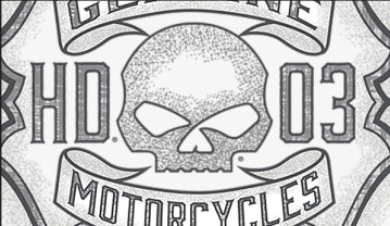 T-SHIRT FEMME WILLIE BUCKLE - 3002746