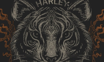 T-SHIRT FEMME PURFECT - 3002755