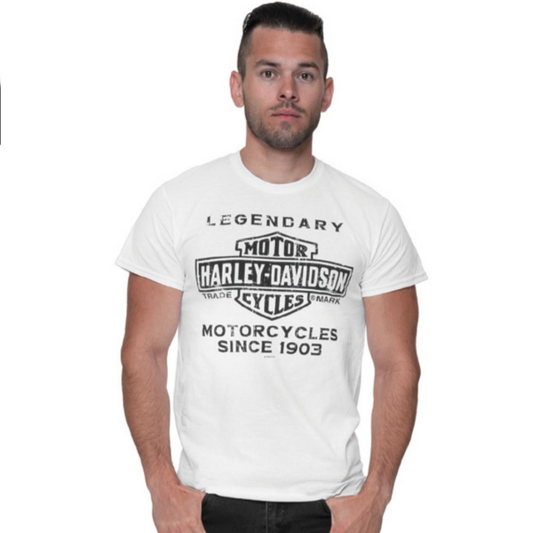 T-Shirt pour homme (40291503)