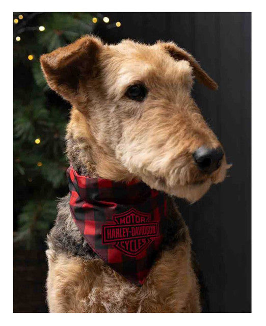 Collier bandana à carreaux H-D® B&S pour animaux de compagnie - HDX-90211