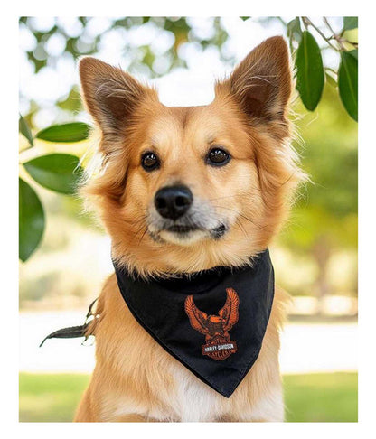 Bandana pour animaux de compagnie H-D® B&Sd Eagle - Taille S/M - HDX-90217