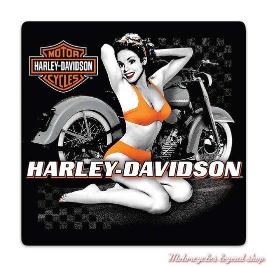 Affiche métalique Harley-Davidson (AR-2012021)