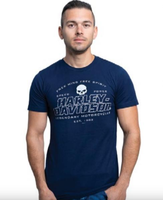 T-Shirt pour homme (40290826)