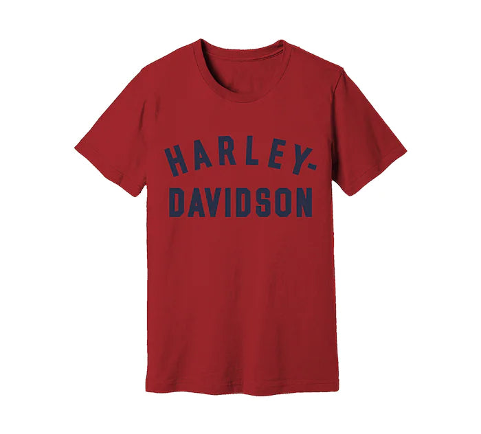 T-Shirt pour homme Harley-Davidson (96524-22VM)